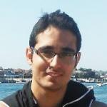 Hamed Gorjiara's picture