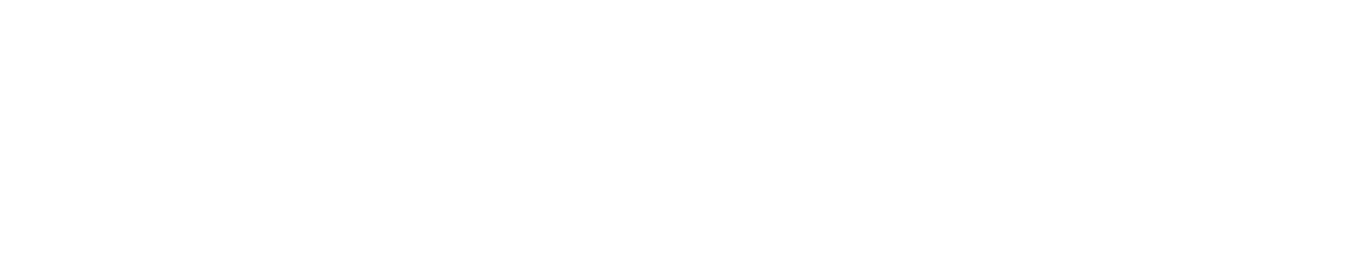 Institute for Software Research